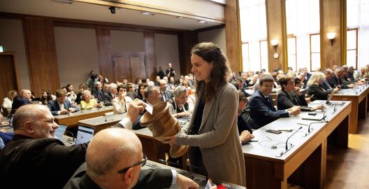 _MG_0510 copie